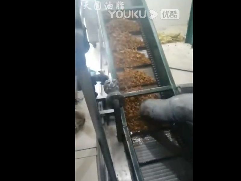 50吨宠物饲料生产线